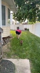 Man Hits Golf Shot Into Glass Window While Playing in Backyard