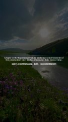 Industrial Ethernet Switch Solutions