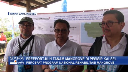 Freeport Tanam Mangrove di Kalimantan Selatan, Dukung Rehabilitasi 10 Ribu Hektare