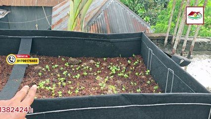 ✅ সবজি চাষের জন্য কত ইঞ্চি গভীর Grow Bag লাগবে? | Gardening Tips in Bangla