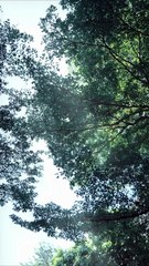Pink Glowing Luggage for Stylish Travel ✨