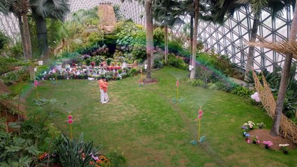 To Fly With You EP.29 Hindi Dubbed