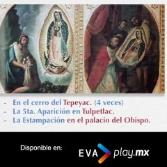 Virgen De Guadalupe EvaPlay V2