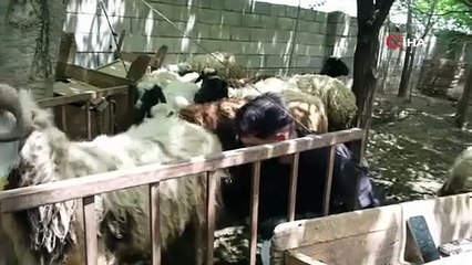 Avrupa Birliği tescili alan Erzincan Tulum Peyniri için belge teslim töreni düzenlendi