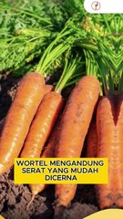 12 Rekomendasi Makanan untuk Pengidap Asam Lambung