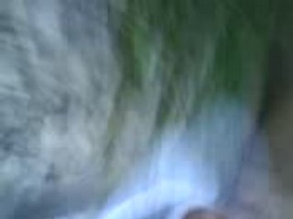 un cochon dans les rue de bonny sur loire a 6h du matin