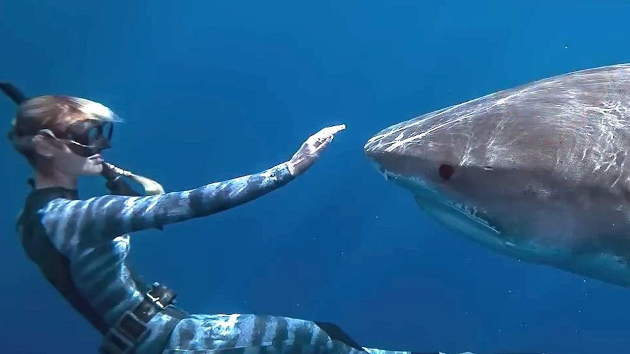 Die Haiflüsterin Trailer OV