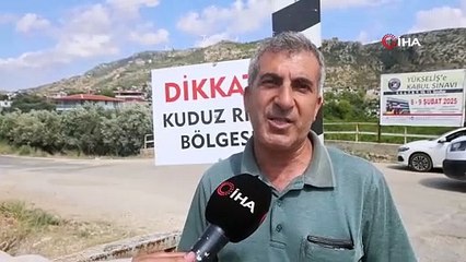 Samandağ’da kuduz paniği: 4 mahallede karantina, köpekler toplanıyor