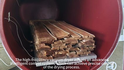 The high-frequency vacuum dryer