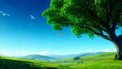 10000 palabras - air