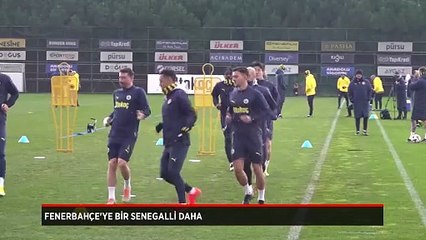 Fenerbahçe'ye 18'lik Senegalli orta saha