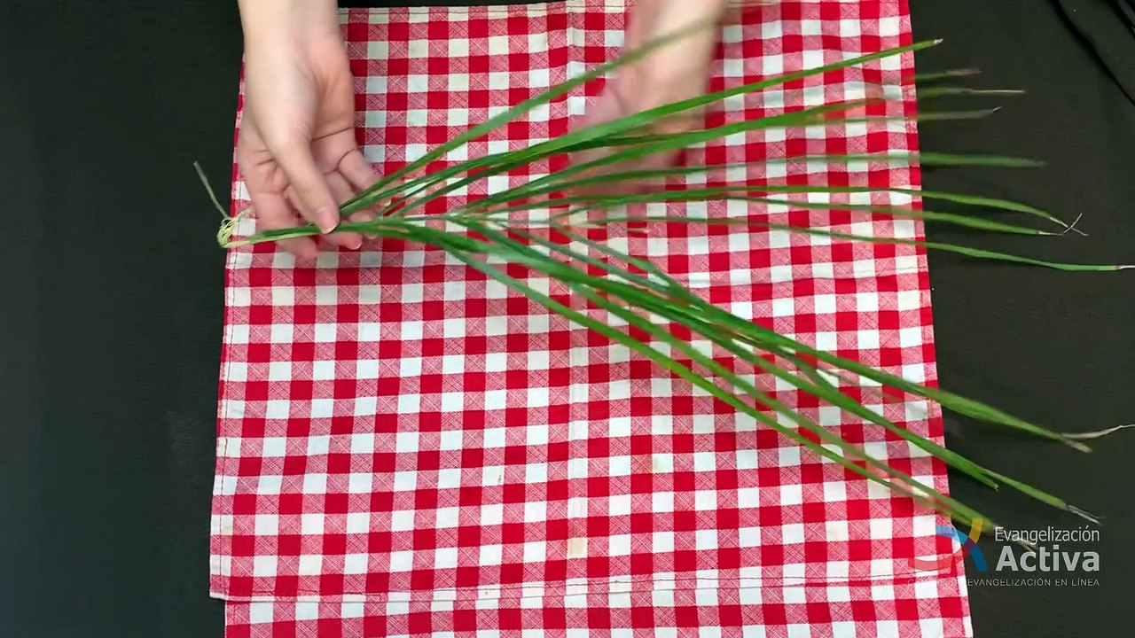 Tutorial para trenzar un ramo