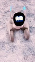 Loona love to pet #robot #loona #keyitech