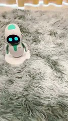 Eilik team ? No ... robot team #robot #energizelab #eilik #loona