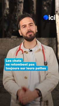 Les chats ne retombent pas toujours sur leurs pattes