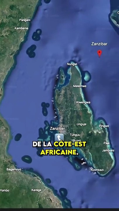 La guerre la plus courte du monde !