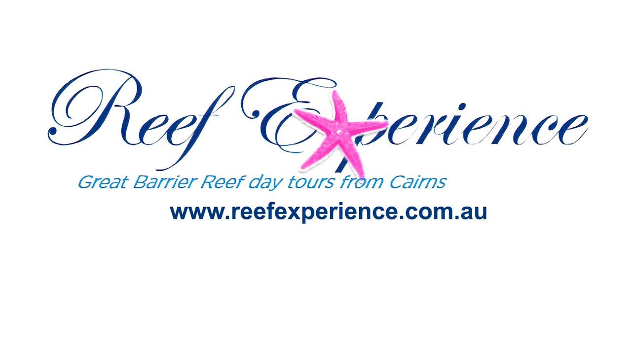 Reef Experience Cairns 1 Day Great Barrier Reef Trips