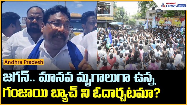 జగన్‌.. మానవ మృగాలుగా ఉన్న గంజాయి బ్యాచ్ ని ఓదార్చటమా? | YS Jagan Tenali tour | Asianet News Telugu