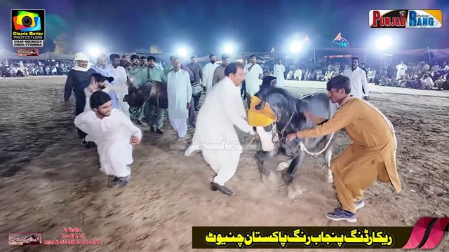 Highlights Horse Dance Sheikhu Sharif Okara l 4 April 2025 l Syed Hasnain Mohi ud Din Gilani