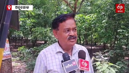 ସାତକୋଶିଆ ଗଣ୍ଡରେ 30 ଘଡିଆଳ ଜନ୍ମ, 5 ବର୍ଷରେ ଜନ୍ମ ନେଲେଣି 160