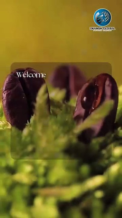 🌿 Got Herbal Products? We’ve Got Your Buyers.