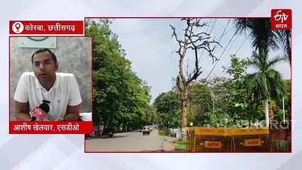 साल बोरर हरे भरे पेड़ों को कर रहे खोखला, लोगों के लिए खतरा बने सूखे पेड़ों को काटने में भी कोताही