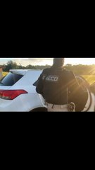 PF e MP fecham cerco em quatro cidades da Bahia