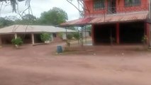 Combates entre disidencias en Guaviare tienen a más de 10.000 familias confinadas