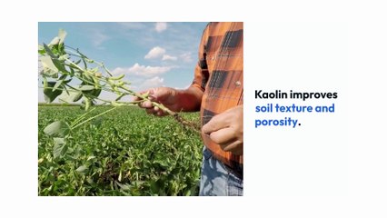 The-Power-of-Hydrous-Kaolin-in-Fertilizer