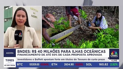 BNDES investe R$ 40 milhões para proteger biodiversidade em ilhas brasileiras; confira 