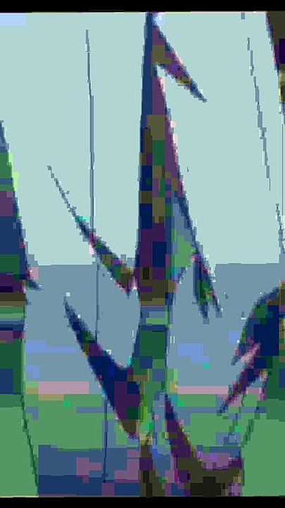 Sidhe dow downsizing