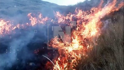 Brigada ‘Jucumaris’ sofocó incendio forestal en el Tunari, en Tiquipaya