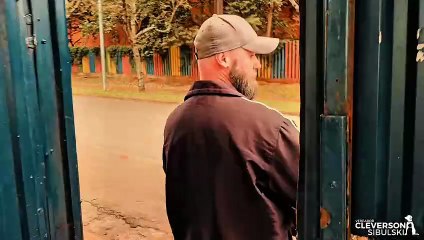 Vereador salva cachorra grávida e procura adoção responsável