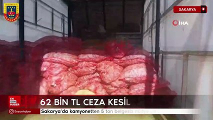 Sakarya’da kamyonetten 5 ton belgesiz midye çıktı: 62 bin TL ceza