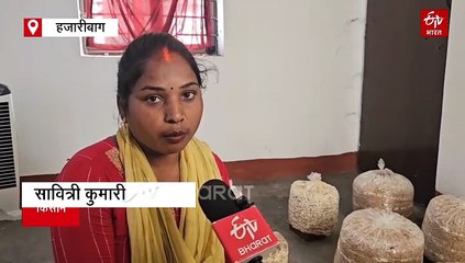विस्थापित महिलाओं द्वारा उपजाए मशरूम का स्वाद चख रहा एनटीपीसी परिवार! जानें, इन महिलाओं की कहानी