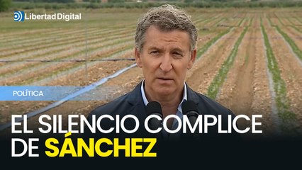 Feijóo acusa a Sánchez de "silencio cómplice" ante casos de corrupción en su entorno