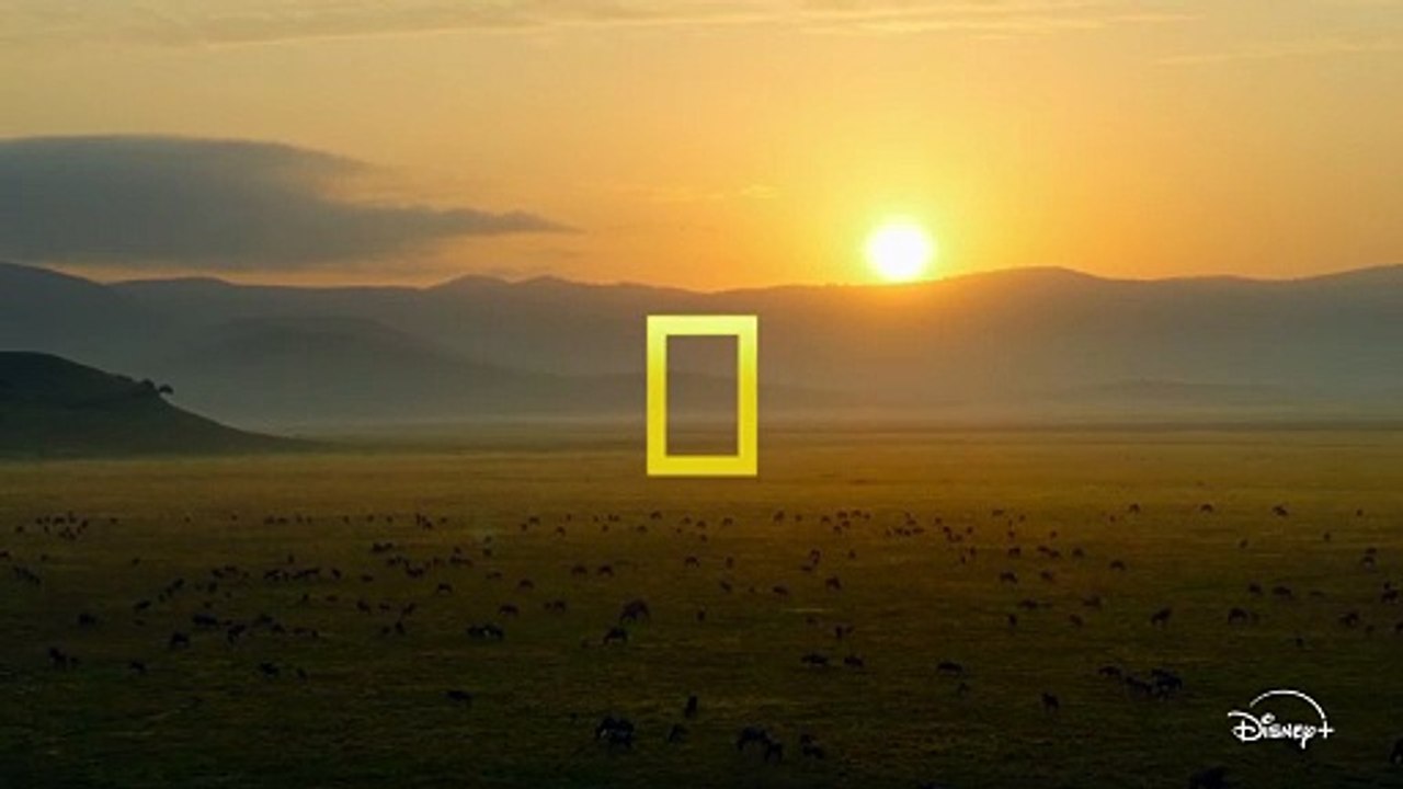 Les Outsiders du monde animal - saison 1 Bande-annonce VF