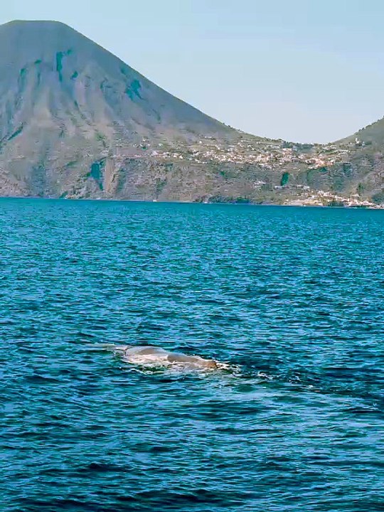 Capodoglio alle eolie