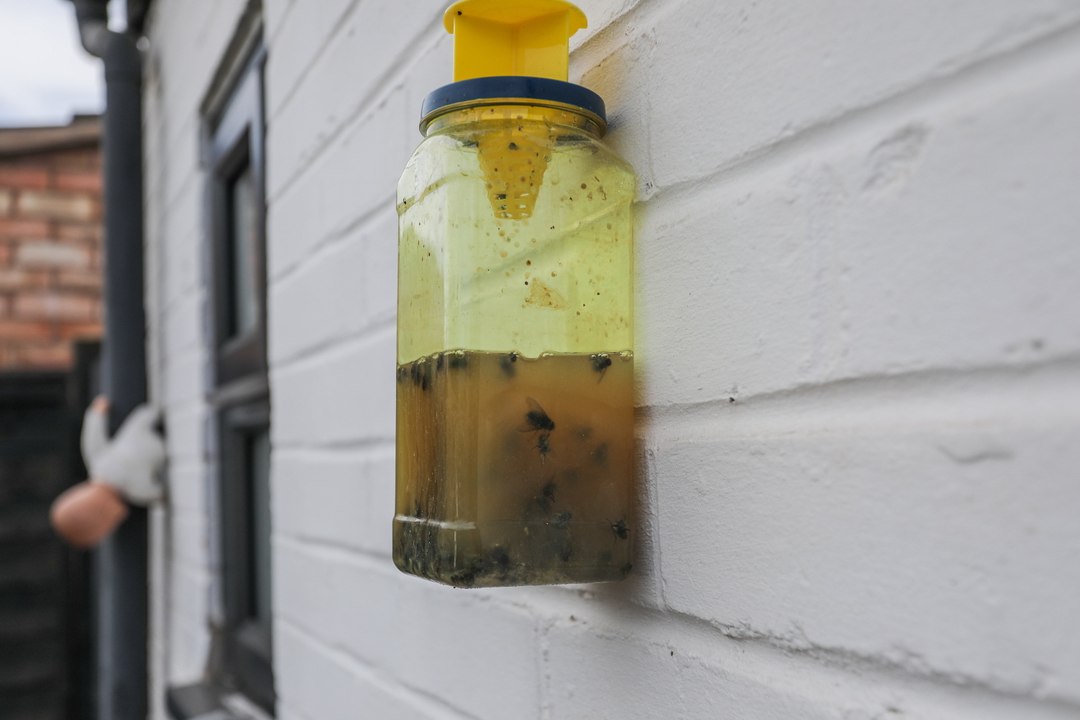 Fly-infested West Midlands town
