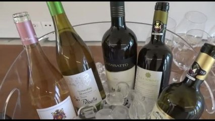 Vino, i 25 anni del Consorzio Montecucco