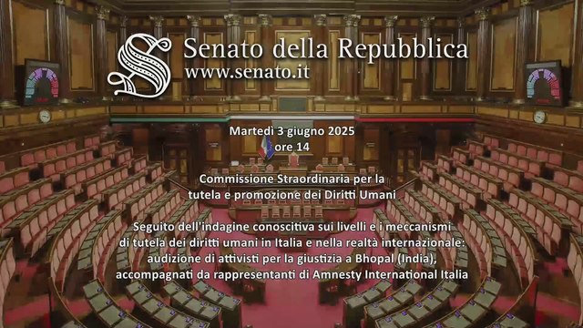Roma - Seguito dell'indagine conoscitiva sui livelli e i meccanismi di tutela dei diritti umani (03.06.25)