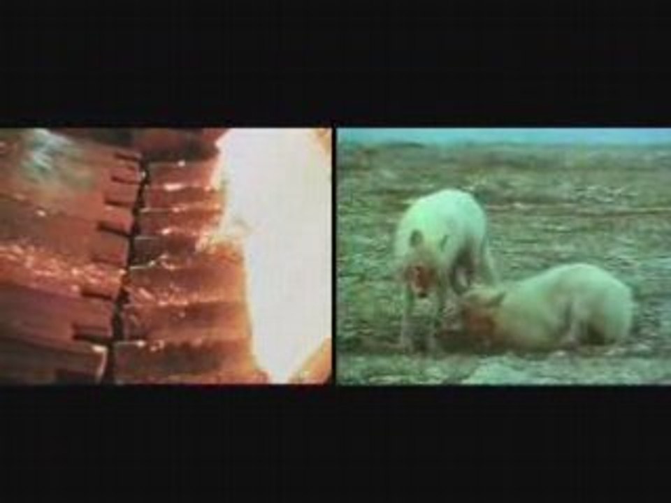 SAEZ Jeunesse lève-toi (version courte)