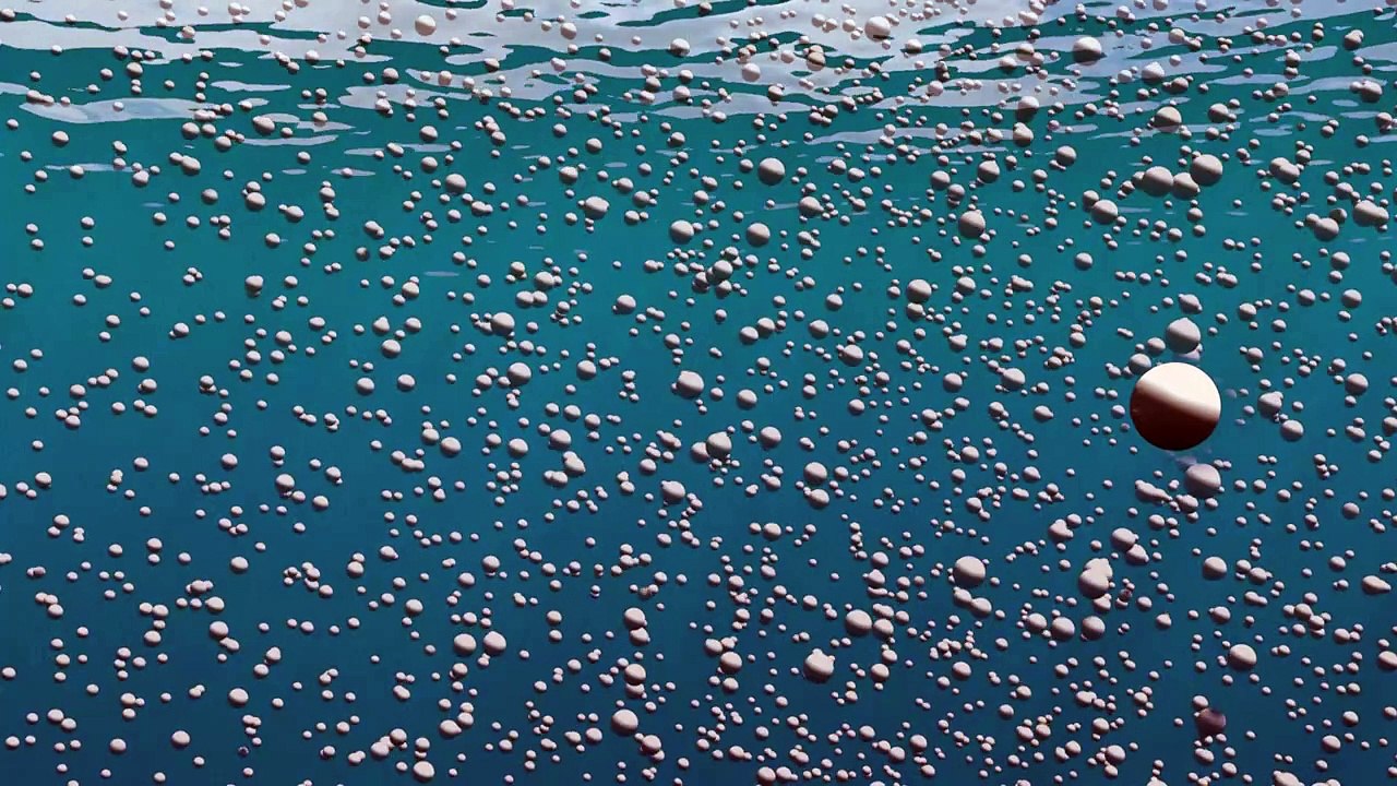 L'acidification des océans