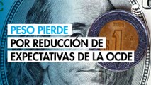 Peso pierde terreno ante el dólar por reducción de expectativas de la OCDE