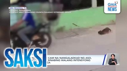 Rider na na-huli cam na nangaladkad ng aso, natunton na at sinabing walang intensyong saktan ang alaga | Saksi