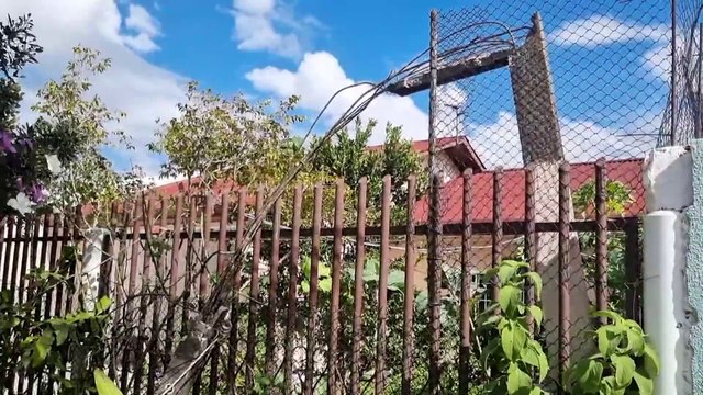 Fios no chão: caminhão enrosca em poste danificado e arranca poste de casa