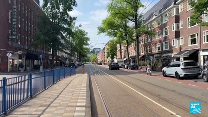 Colapsa gobierno de Países Bajos tras salida de partido de extrema derecha