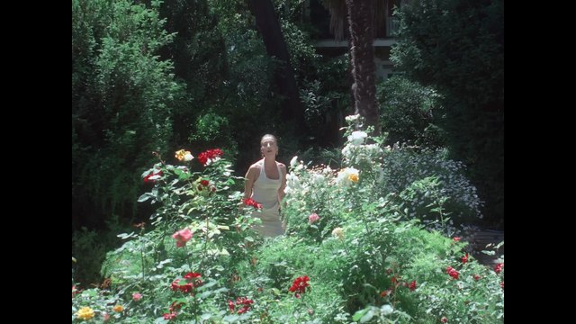 Bengü Beker - Defterli