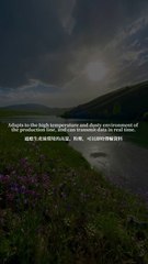 Industrial Ethernet Switch Solutions