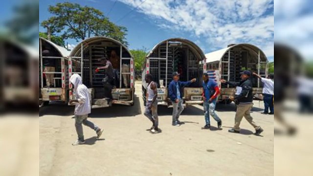 Más de 153 mil haitianos indocumentados han sido deportados